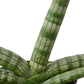 Snake Plant Starfish | Air-Purifying Cylindrical Sansevieria | House Plant