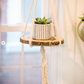 Macrame Plant Hanger | El Sol