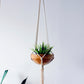 Macrame Plant Hanger | La Luna